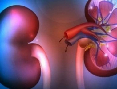 Αυτές είναι οι τροφές «δηλητήριο» για τα νεφρά και βρίσκονται σε κάθε σπίτι